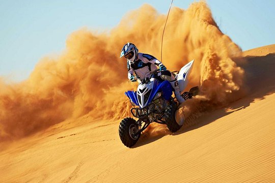 Morning Desert Safari + Quad Bike 45.jpg